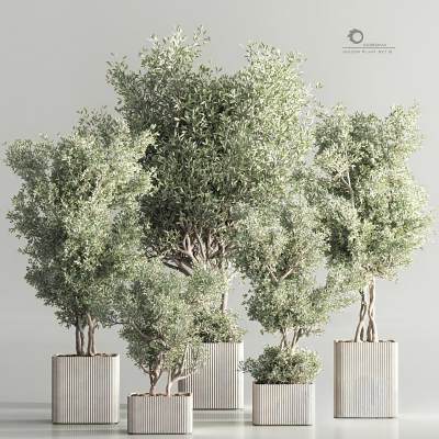 绿植盆栽组合-3